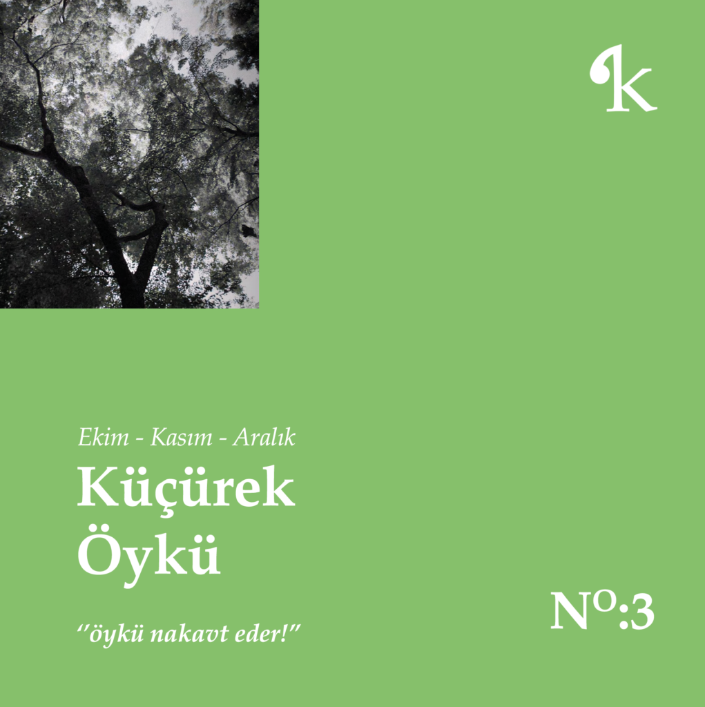 Küçürek Öykü – NO:3